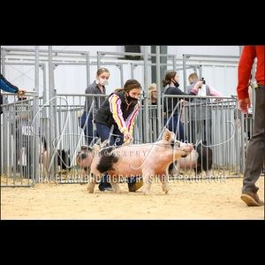 Meet your Posher, Carson